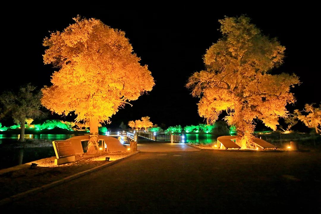 戈壁滩夜景图片